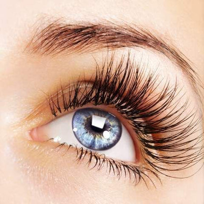 Women's Home Mascara 3g Cosmetics